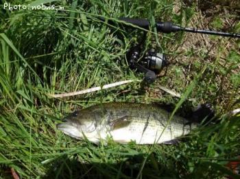 �֥�å��Х�