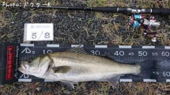 �����Х�