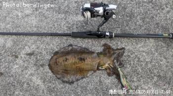 �����ꥤ��