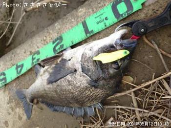 ���������������Х�