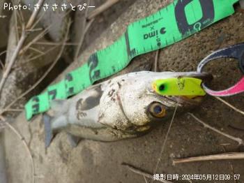 ���������������Х�