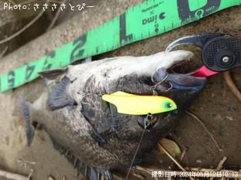 ���������������Х�