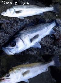 �����Х�