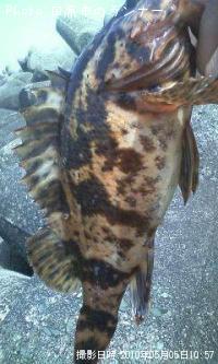 �����Υ���Х�