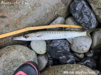 ������󥫥ޥ�