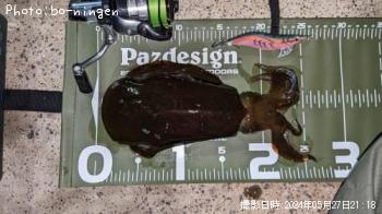 ¥¢¥ª¥ê¥¤¥«