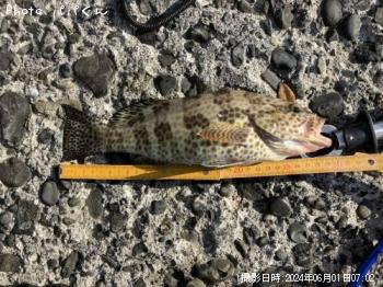 ¥ª¥ª¥â¥ó¥Ï¥¿