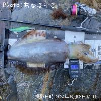 �����ꥤ��