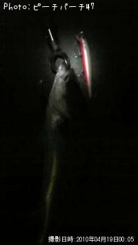 �����Х�