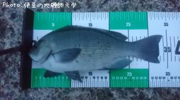 �����᥸��