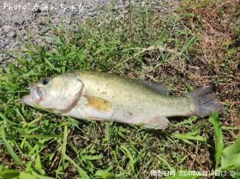 ¥Ö¥é¥Ã¥¯¥Ð¥¹