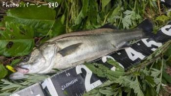 �����Х�