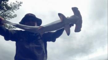 �ϥ�ޡ��إåɥ��㡼��