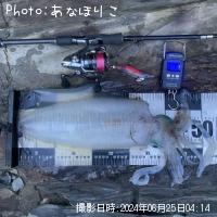 ¥¢¥ª¥ê¥¤¥«