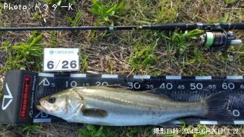 �����Х�