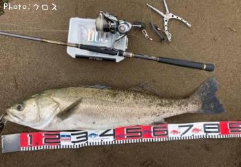 �����Х�