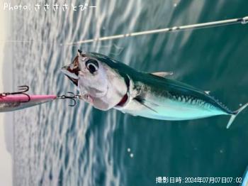 ¥¢¥ª¥Ï¥¿¡õ¥µ¥Ð¡õ¥½¥¦¥À¥¬¥Ä¥ª