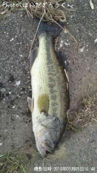 �֥�å��Х�