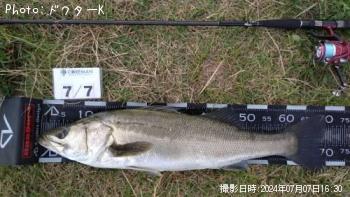 �����Х�