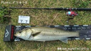 �����Х�