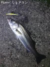 �����Х�