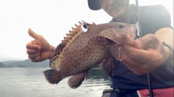 ¥ª¥ª¥â¥ó¥Ï¥¿