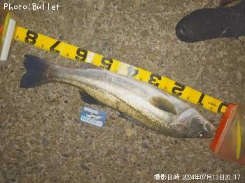 �����Х�