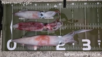 ���󥵥�����