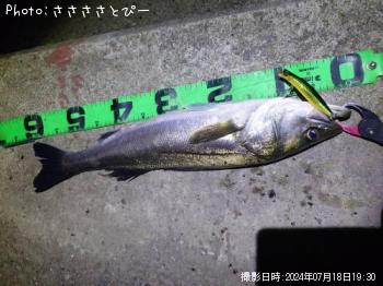 �����Х�����������