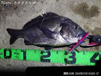 �����Х�����������