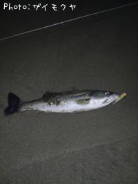 �����Х�