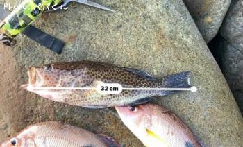 ¥ª¥ª¥â¥ó¥Ï¥¿