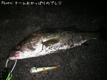 �����Х�