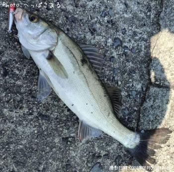 �����Х�