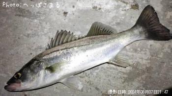 �����Х�