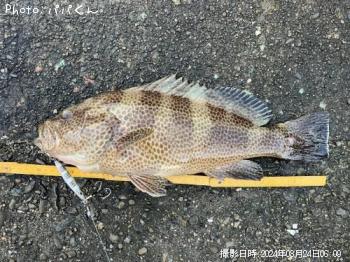 �������ϥ�