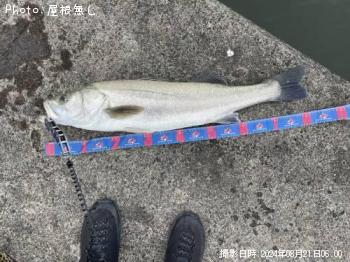 �����Х�