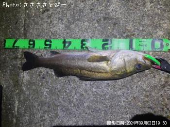 �����Х�