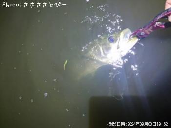 �����Х�