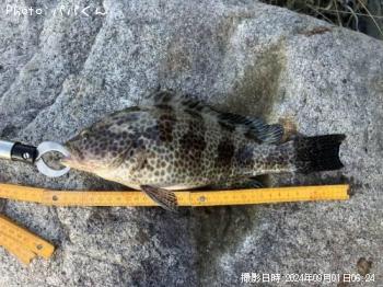 �������ϥ�