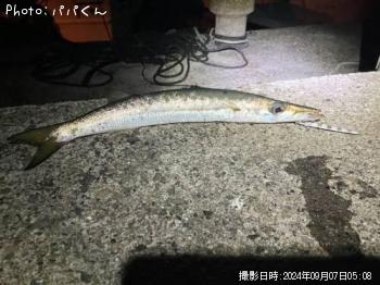 ������󥫥ޥ�