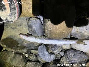 ������󥫥ޥ�