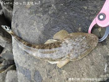 �ޥ���