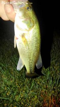 ¥Ö¥é¥Ã¥¯¥Ð¥¹