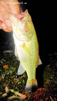 �֥�å��Х�