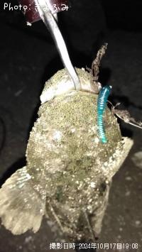 �ޥ���