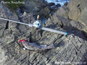 �����ʥ�