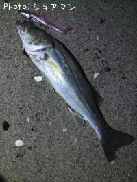 �����Х�