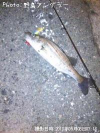 �����Х�