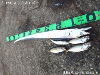 ����������������С����Υ���